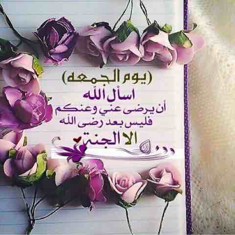أهدي يوميا 3 ورود لــ 3 اعضاء !!!-imageuploadedbyمزاعيط المغرب1506092581.305560.jpg