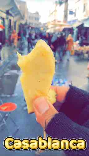 مراكش شهر نوفمبر-img_3386.jpg