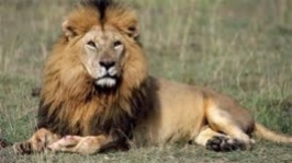 من رواندا قلب سحر الطبيعه الافريقيه-0a0cfa31-d4c2-4f1c-9c8c-b4798d8624f3.jpg