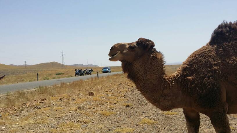 رحلة العمر... من اسبانيا الى المغرب بالدراجة النارية-1432298565190.jpg