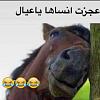 دردشــــــة الـــمزاعيـــــــــط-imageuploadedbyمزاعيط المغرب1504006381.840038.jpg