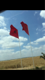 الصورة الرمزية الحوت 470