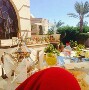 الصورة الرمزية alwafee