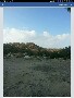 الصورة الرمزية gmil