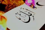 الصورة الرمزية امل حياتي
