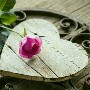 الصورة الرمزية عشقmh