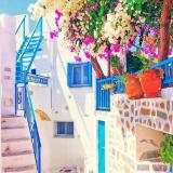 الصورة الرمزية ارنوب
