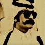 الصورة الرمزية نمر