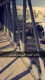 الصورة الرمزية البرنس 87