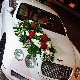 الصورة الرمزية anas414185