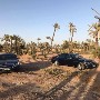 الصورة الرمزية حسن للتأجير