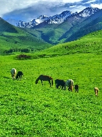 الصورة الرمزية الخطوط المغربيه