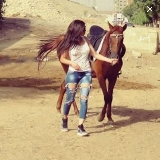 الصورة الرمزية الفارسة