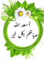 الصورة الرمزية الشهباء