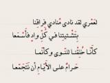 الصورة الرمزية كأنا خلقنا للنو