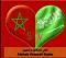 الصورة الرمزية ksa VIP