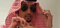الصورة الرمزية almktarb