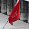 الصورة الرمزية saleh211